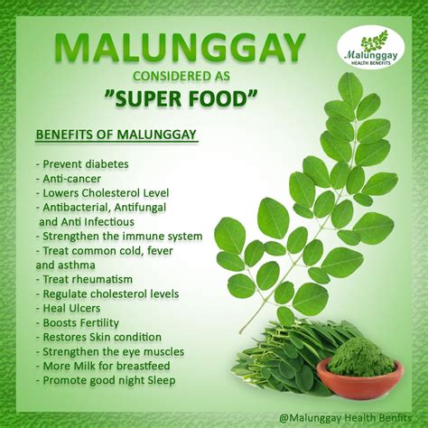 Malunggay in English and its Benefits .
